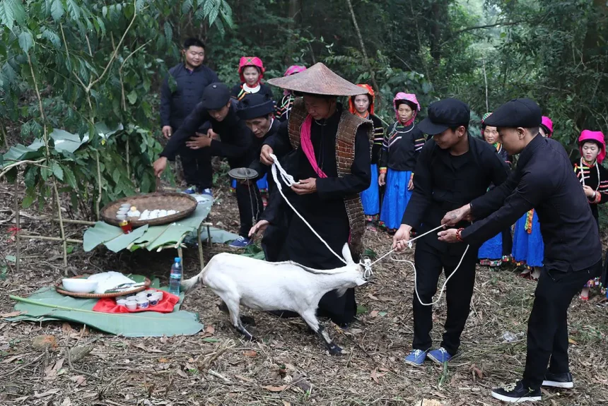 Lễ cúng thần rừng: Văn hóa độc đáo của người Pu Péo Hà Giang